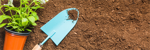 Bunnings Gardening Workshop