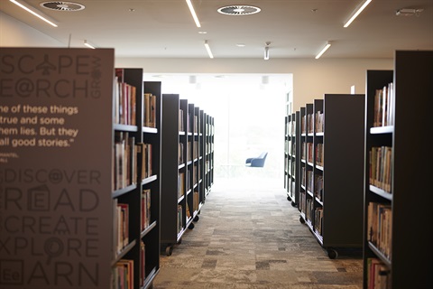 Shelves of library books